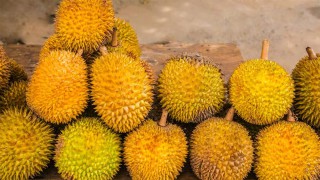榴莲季来了！广州进口货代告诉你进口榴莲一般会有哪些报关问题