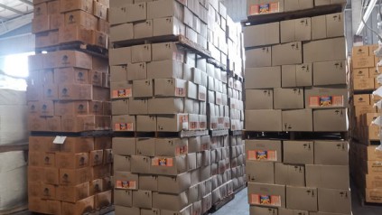 食品仓储管理_广州丙二类仓库托管-新天地物流