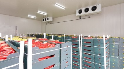 减少冷库食品干耗的实用指南