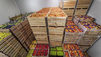 在广州租一个仓库放食品要多少钱？