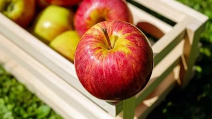 食品出口报关需要哪些资料？流程是怎样的？
