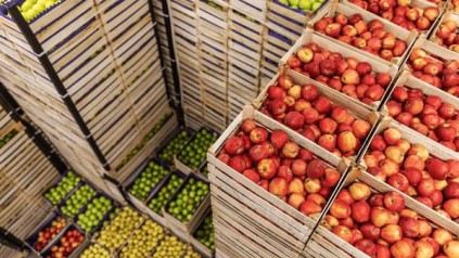 食品仓库管理：避免踩雷的妙招