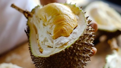 除了税费，进口泰国榴莲报关还哪些费用？广州货代告诉你答案