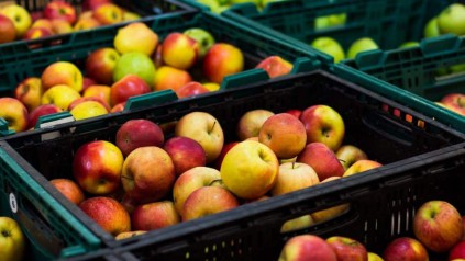 珠三角食品运输物流公司为你解读食品运输管理
