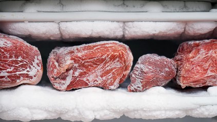 广州口岸冻肉进口报关指南，助您轻松搞定清关手续！
