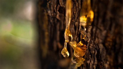 为树脂选仓库？那这些关键点你不能忽视-仓库出租服务商
