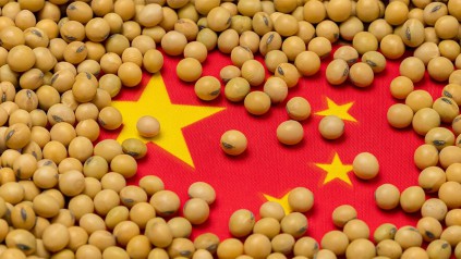 中美关税战下，广州货代教您如何做美国大豆进口报关