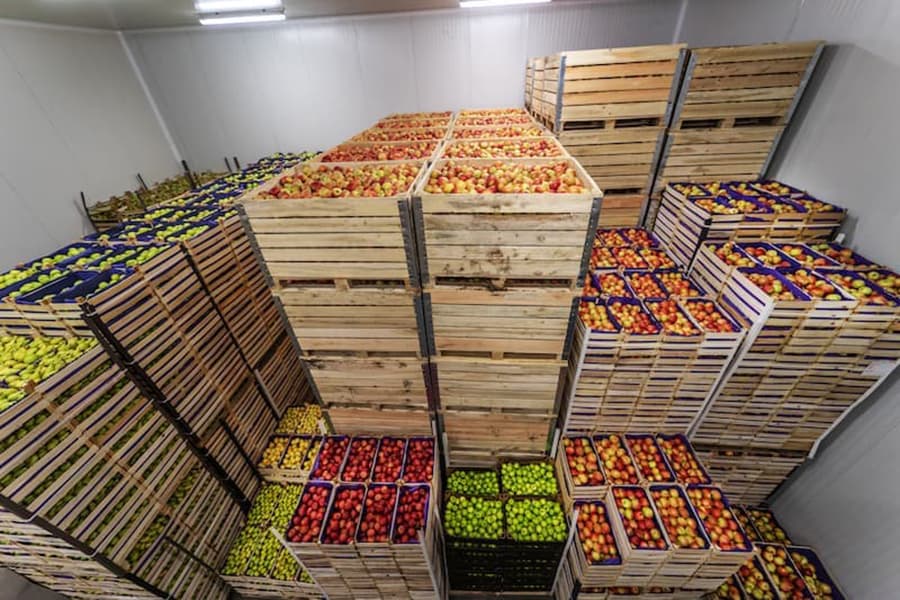 在广州租一个仓库放食品要多少钱？