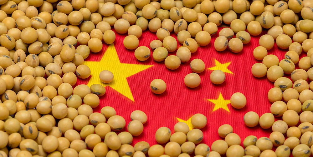 中美关税战下，广州货代教您如何做美国大豆进口报关